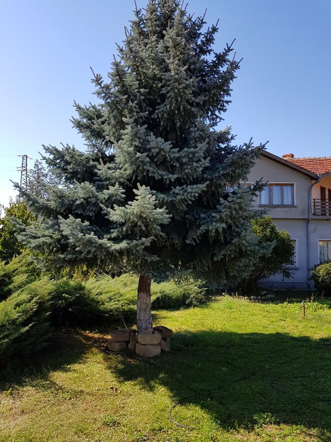 Къща За Гости Садово Guest House Sadovo Exterior photo